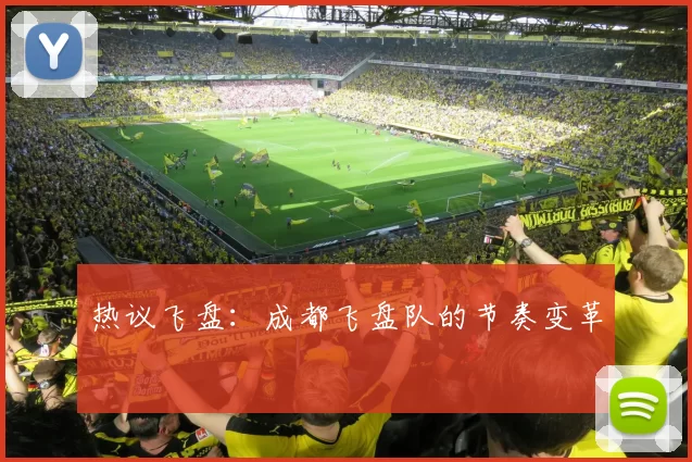 热议飞盘：成都飞盘队的节奏变革