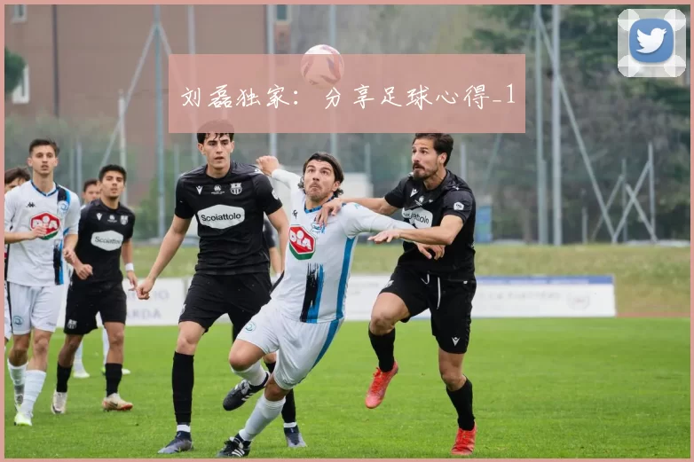 刘磊独家：分享足球心得_1