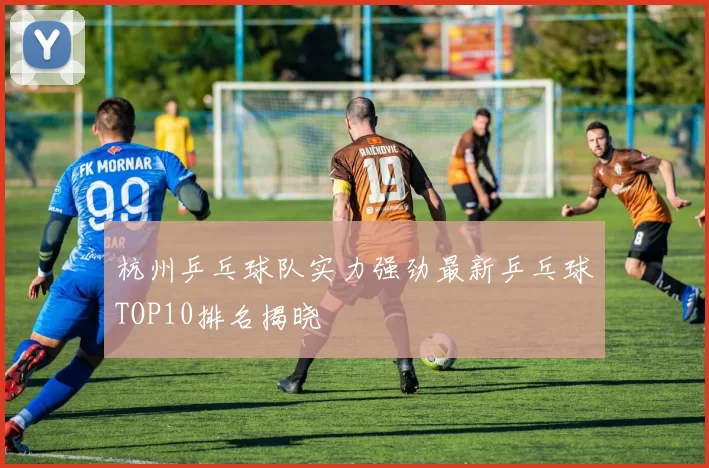 杭州乒乓球队实力强劲最新乒乓球TOP10排名揭晓