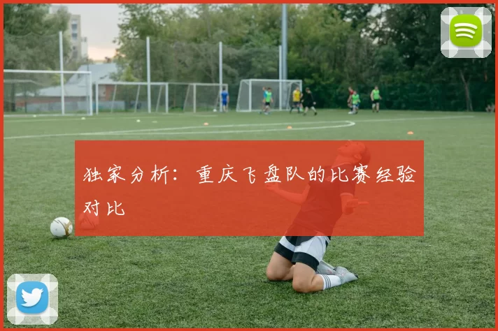 独家分析：重庆飞盘队的比赛经验对比