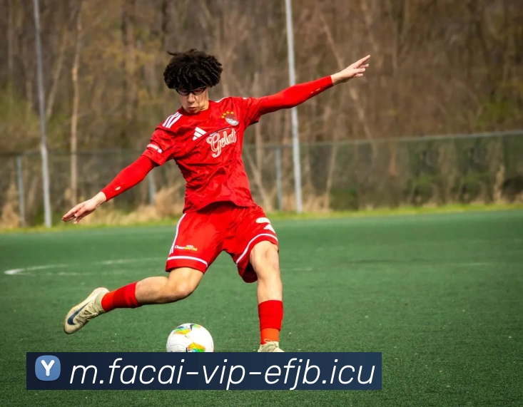 MK体育品牌故事